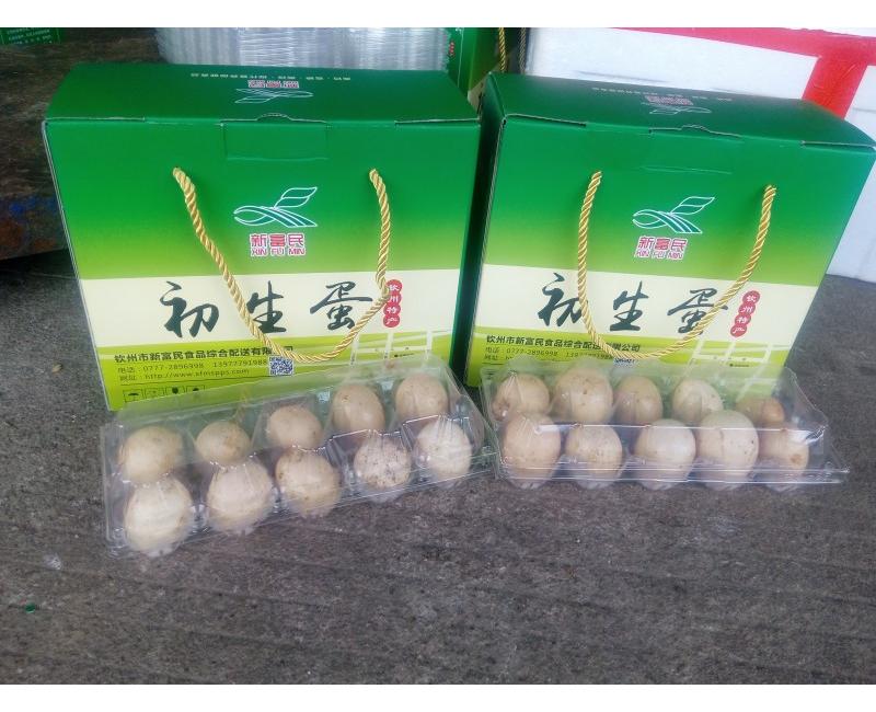 新富民初生蛋-源于天然 滋補(bǔ)有道。